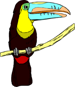 Perched Toucan Clip Art